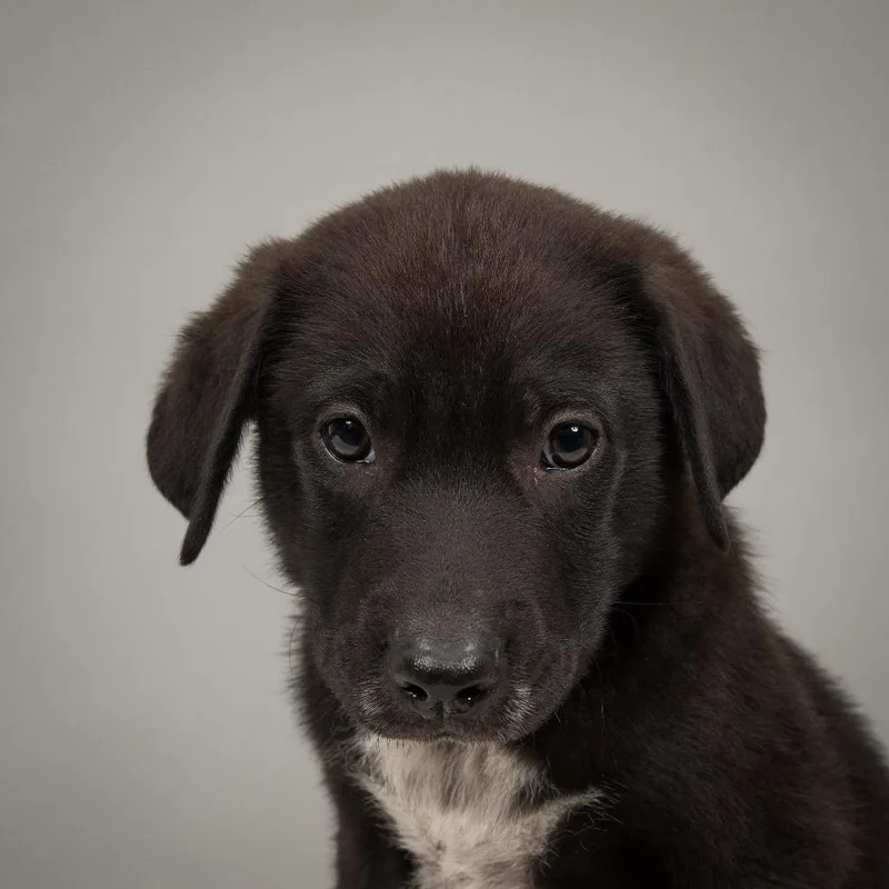 Jesses James thumbnail 3