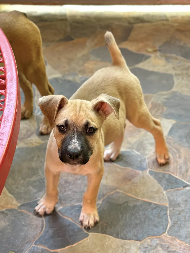 Duane thumbnail 2
