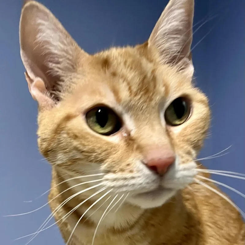 Ms. Norbury thumbnail 2