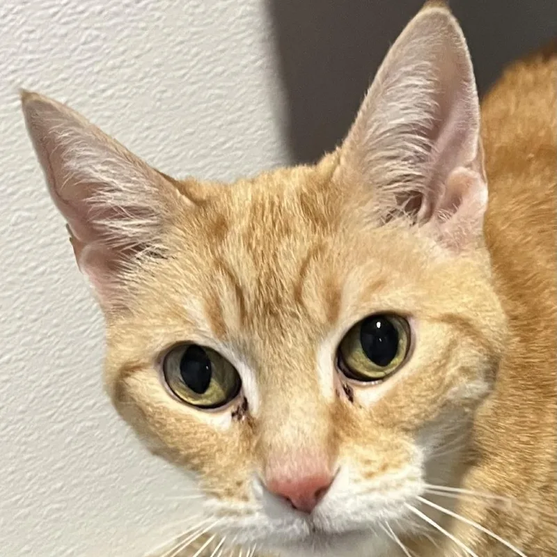 Ms. Norbury thumbnail 3