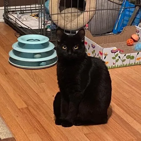 Laverne Jones thumbnail 3