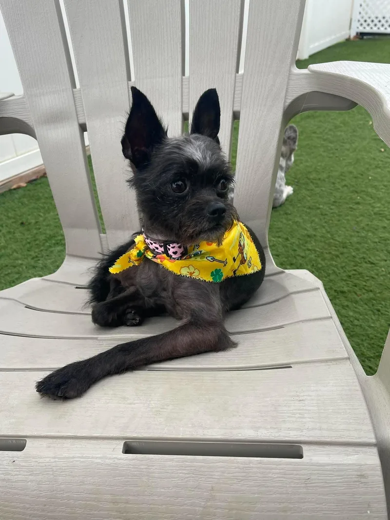 Coco