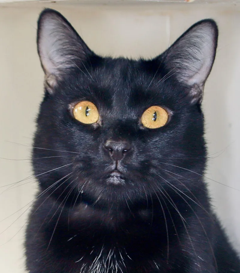 Tahalla  Center thumbnail 2