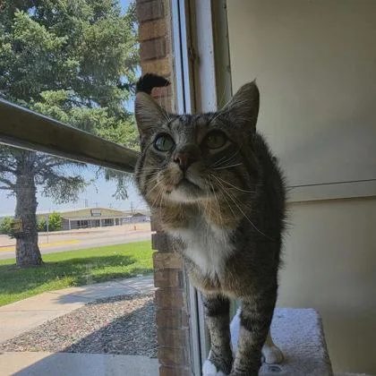 Sir Snuggles thumbnail 3