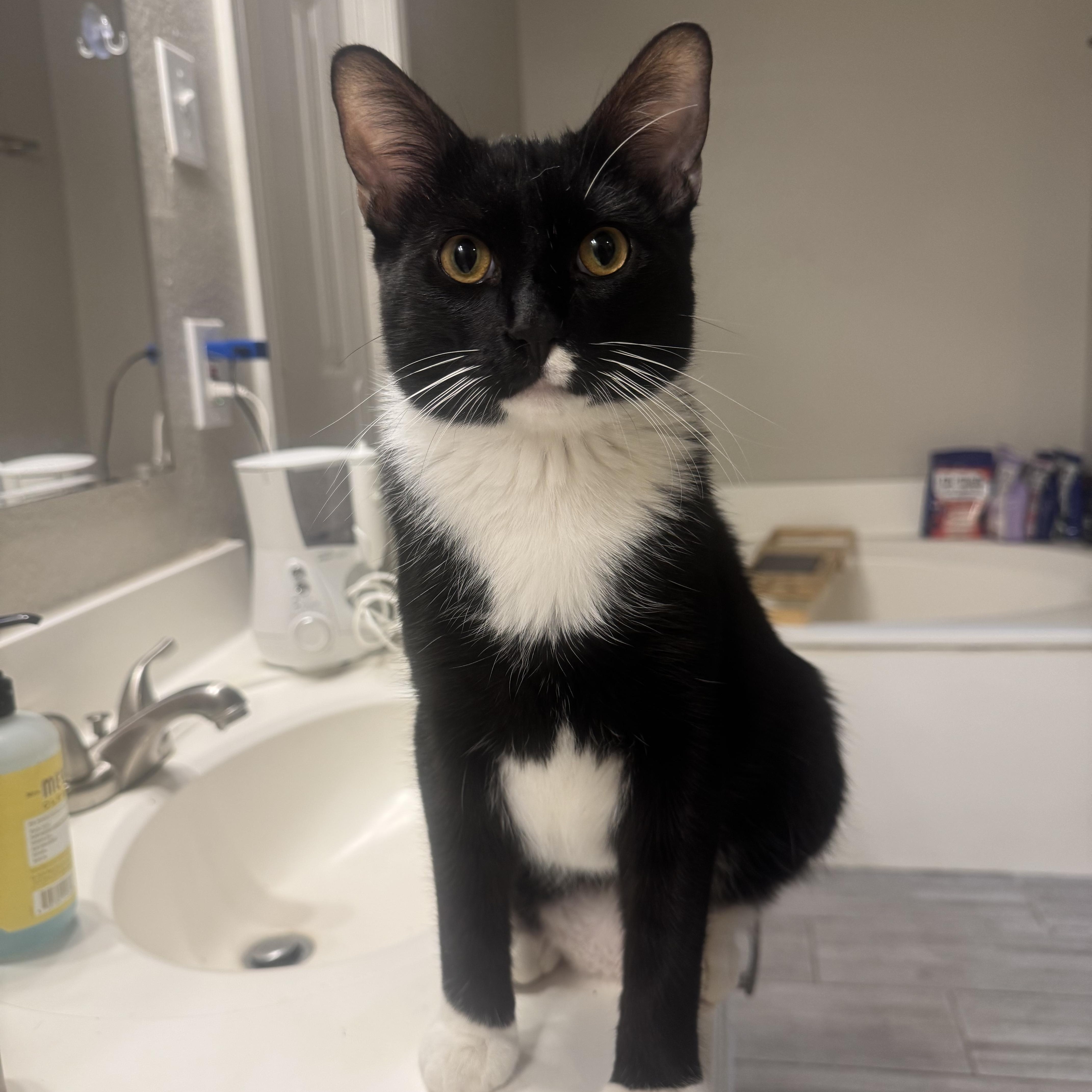 Mittens