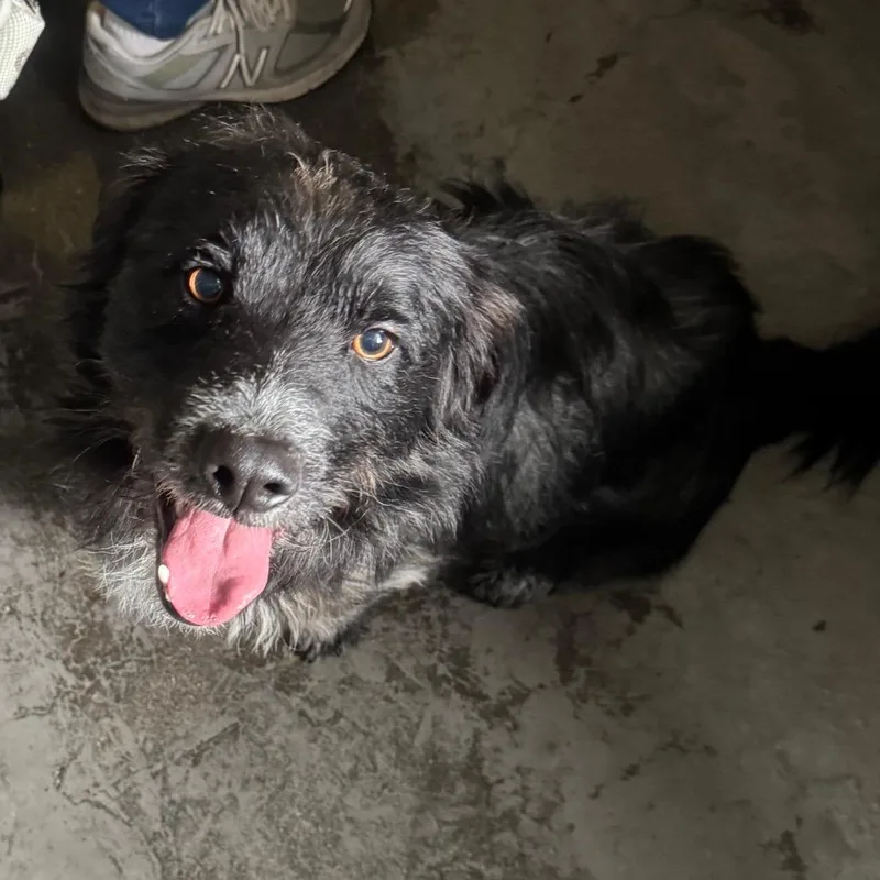 Steven A thumbnail 2