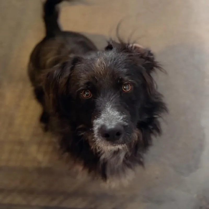 Steven A thumbnail 3