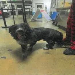 Steven A thumbnail 4