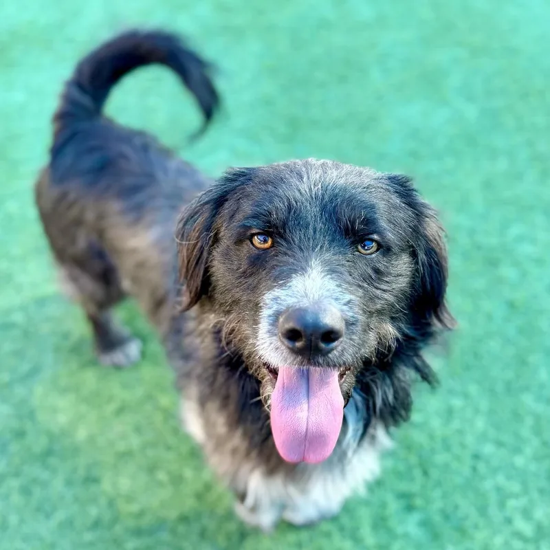 Steven A thumbnail 5