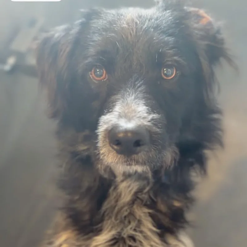 Steven A thumbnail 6