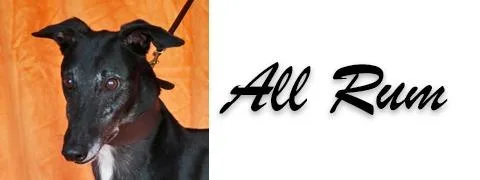 All Rum thumbnail 3