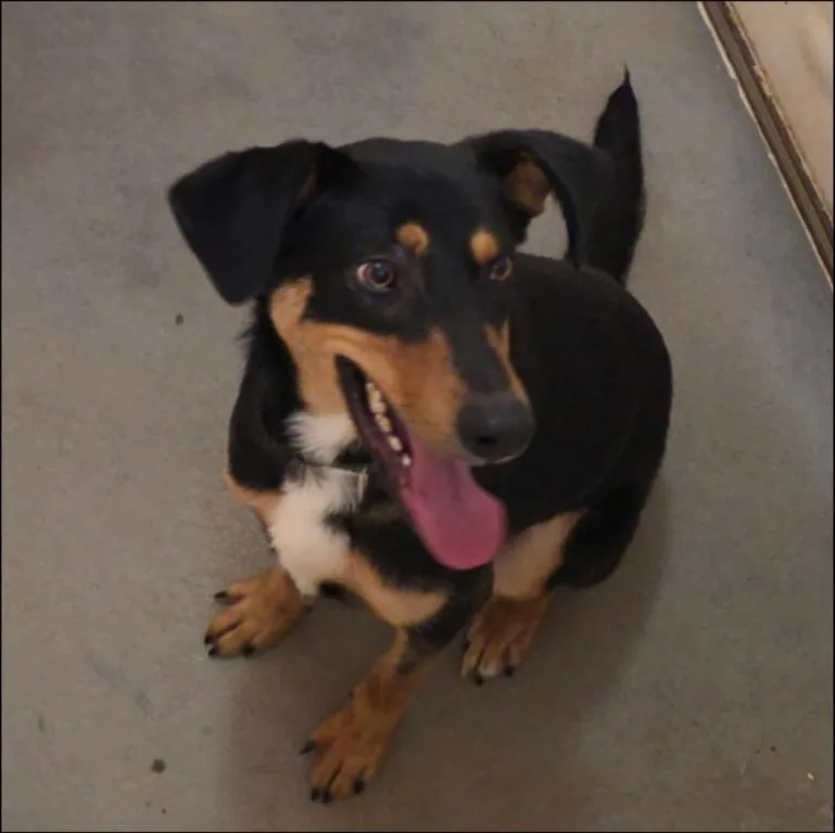 Loki thumbnail 2