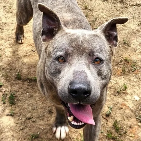 Benny