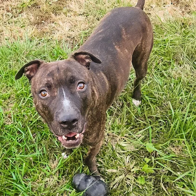 Marvin  Needs A thumbnail 3