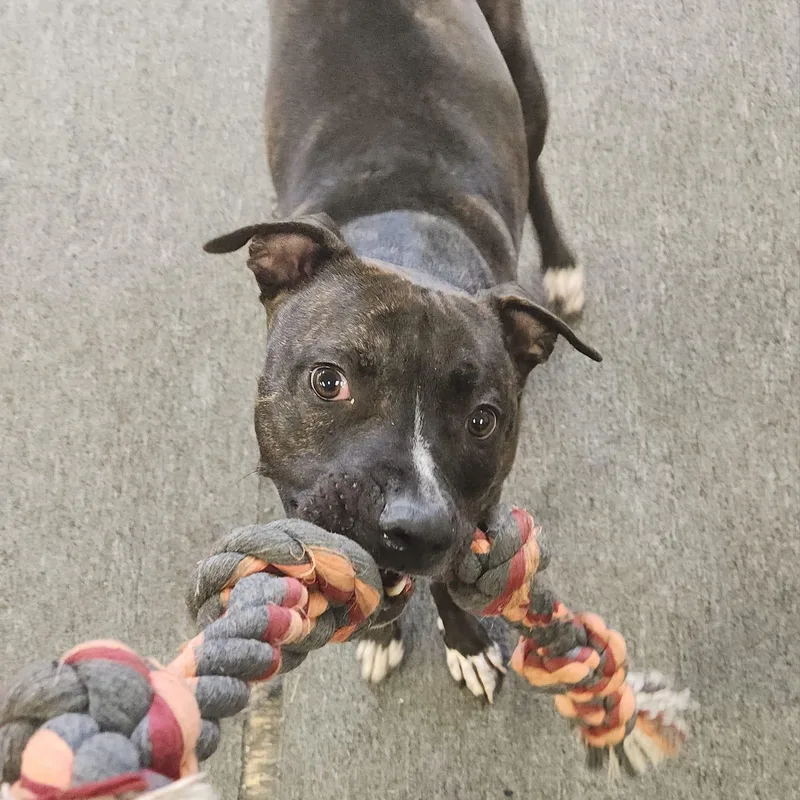 Marvin  Needs A thumbnail 4