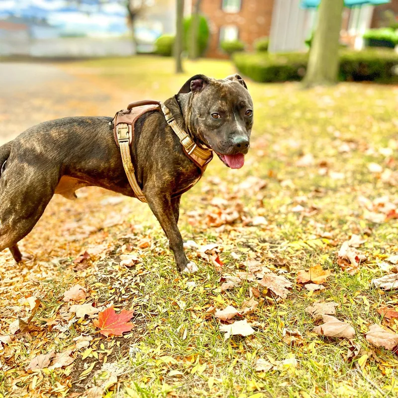 Marvin  Needs A thumbnail 5