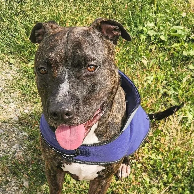 Marvin  Needs A thumbnail 6