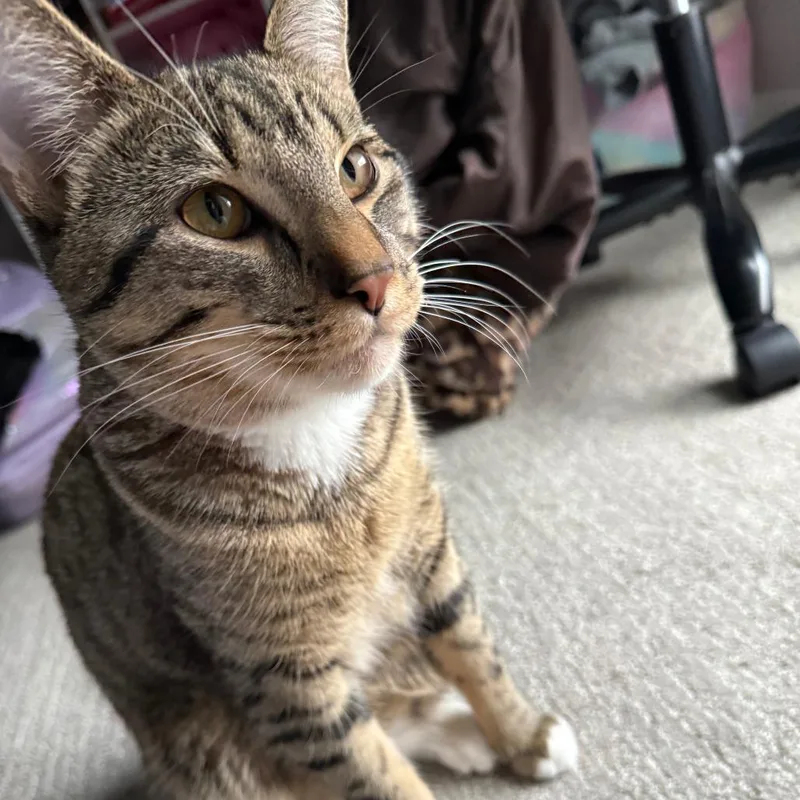 Dray  Home To thumbnail 2