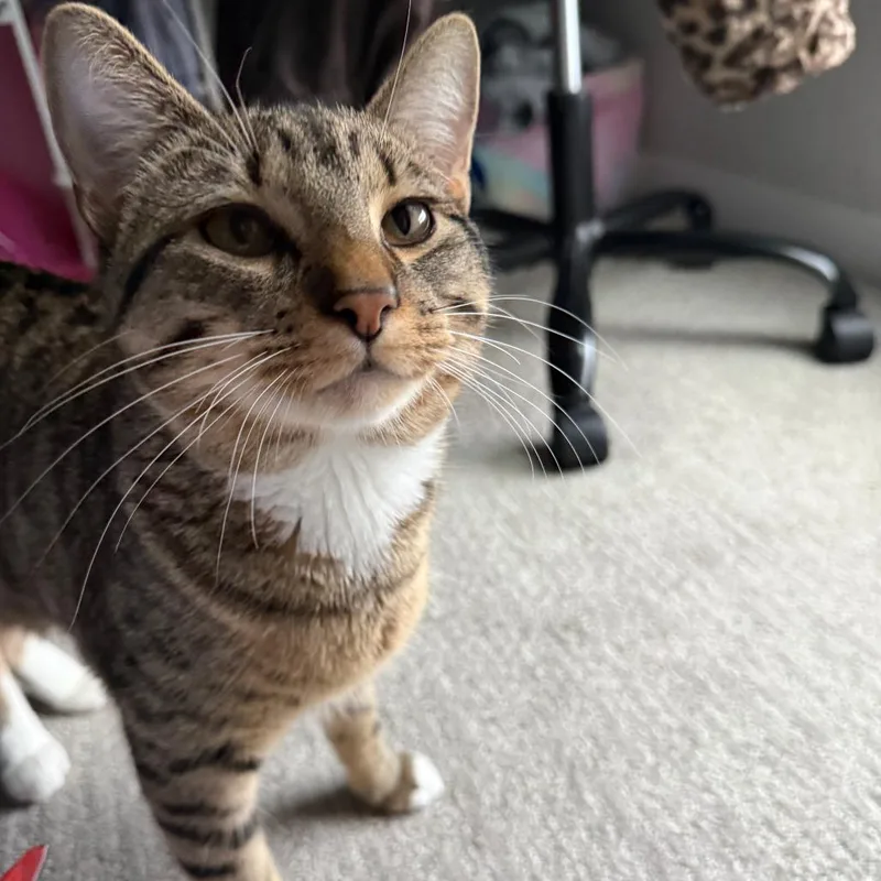 Dray  Home To thumbnail 4