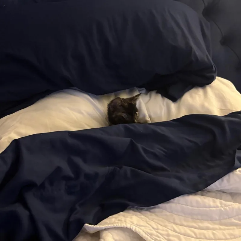 Sallie thumbnail 6