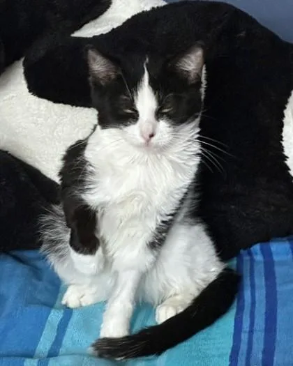 Cupcakke thumbnail 2