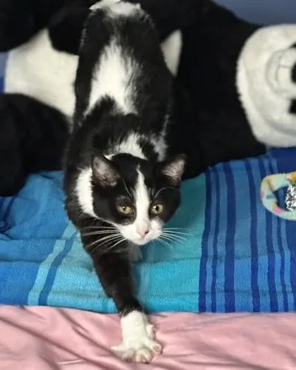 Cupcakke thumbnail 3