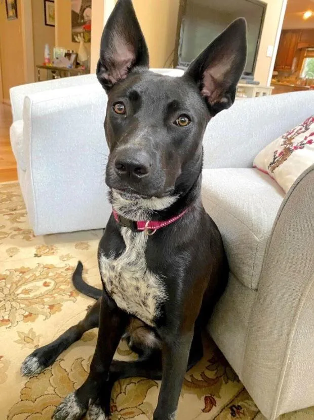 Emilia Fontana thumbnail 2