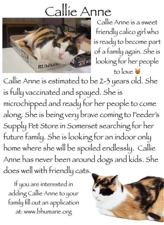 Callie Anne C thumbnail 2