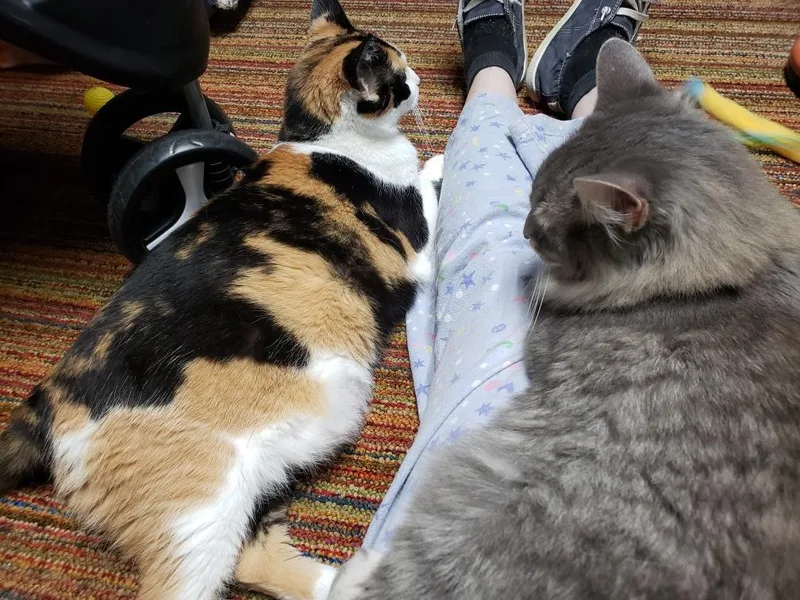 Callie Anne C thumbnail 5