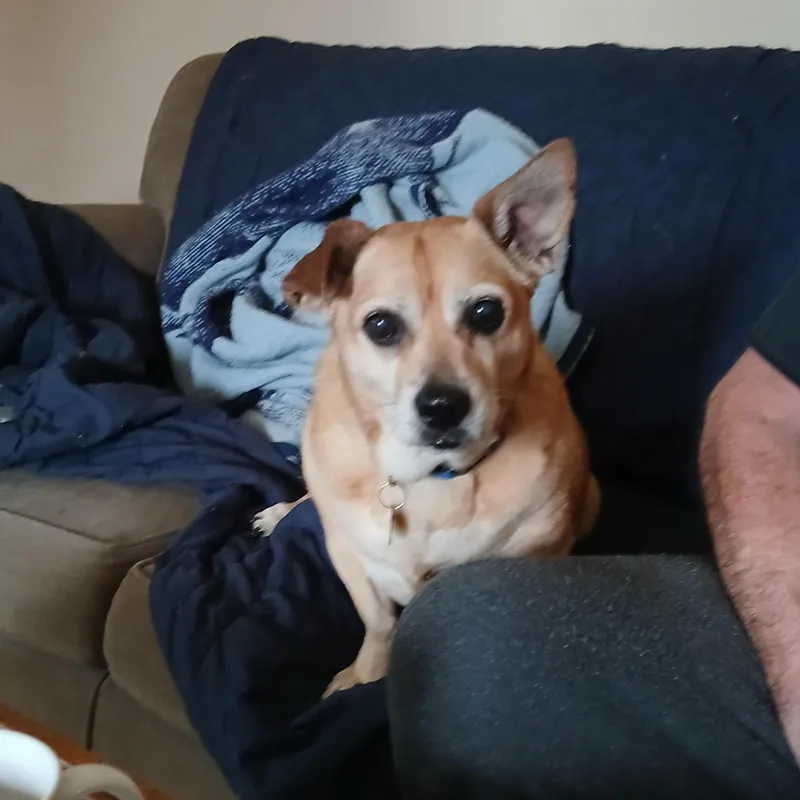 Abbie thumbnail 2
