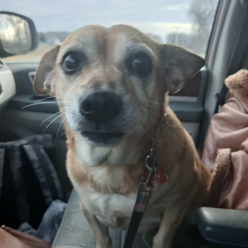 Abbie thumbnail 3