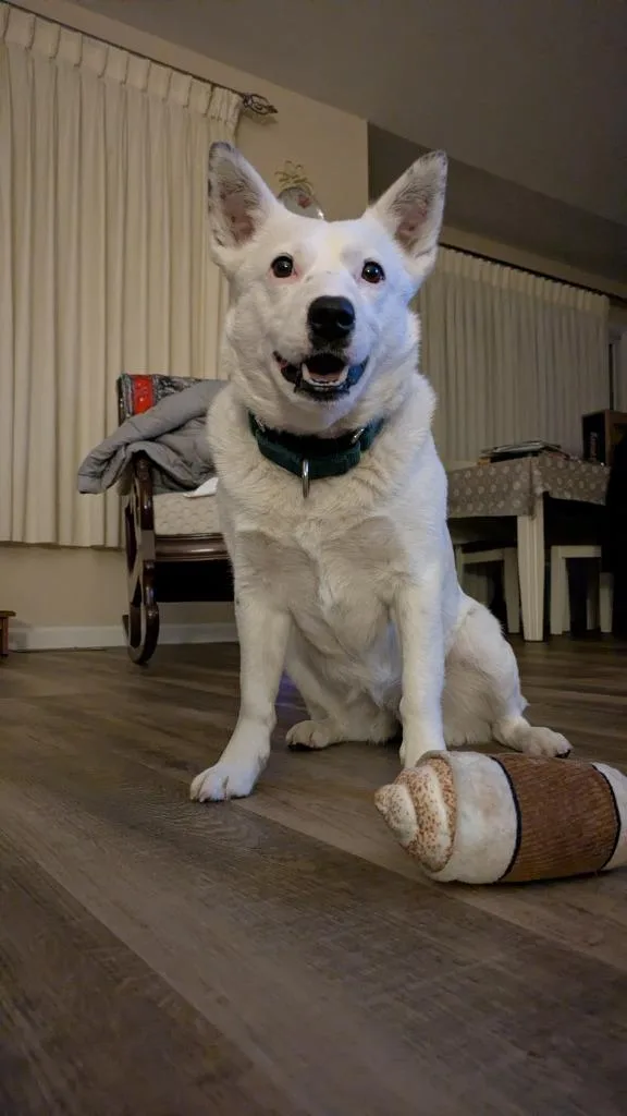 Caroline thumbnail 4
