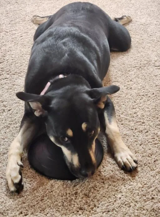 Mara Jade thumbnail 2