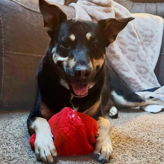 Mara Jade thumbnail 5