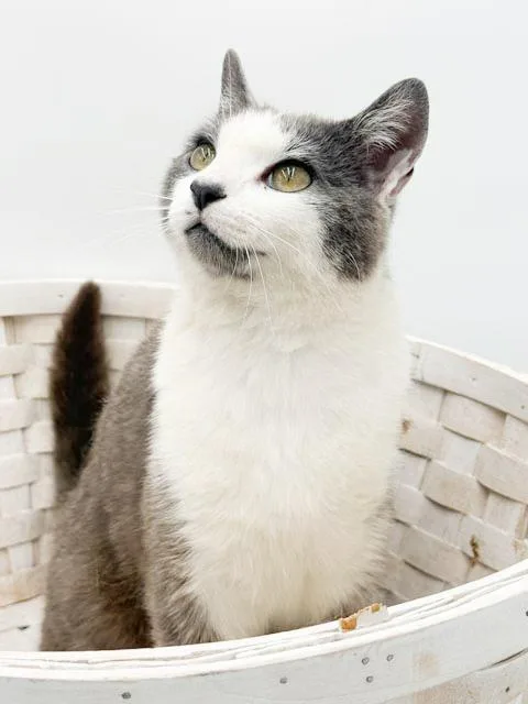 Betty Is A Beauty thumbnail 2
