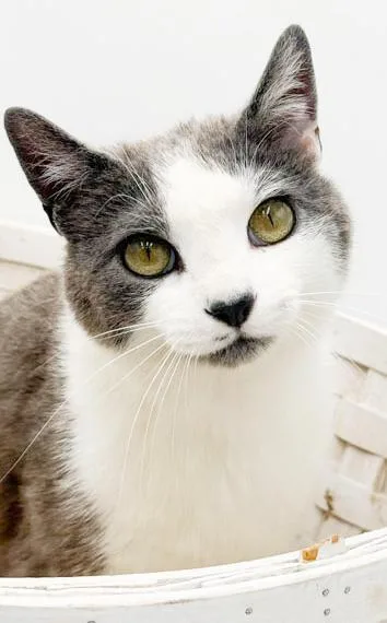 Betty Is A Beauty thumbnail 3