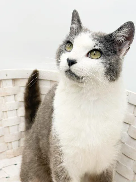 Betty Is A Beauty thumbnail 4