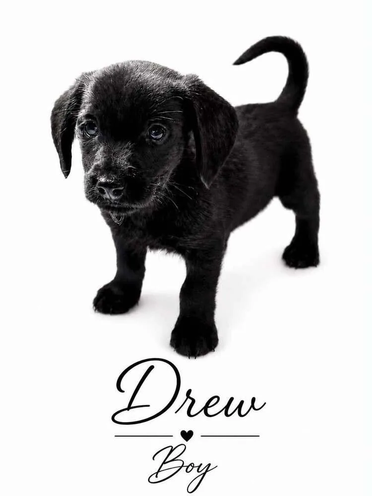 Drew thumbnail 2