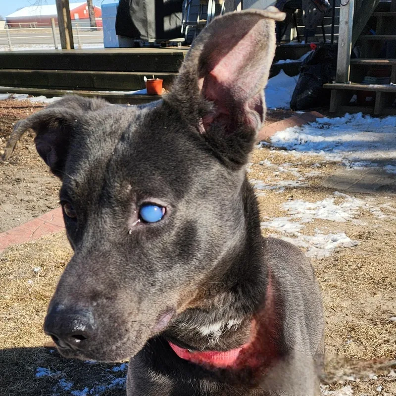 Baby Girl thumbnail 2