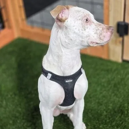 Flynn Family Fun Wanted thumbnail 3