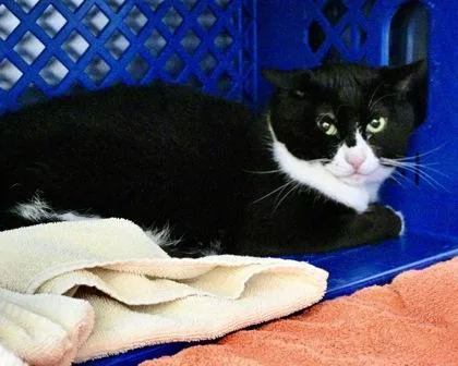 Little Munchie thumbnail 2