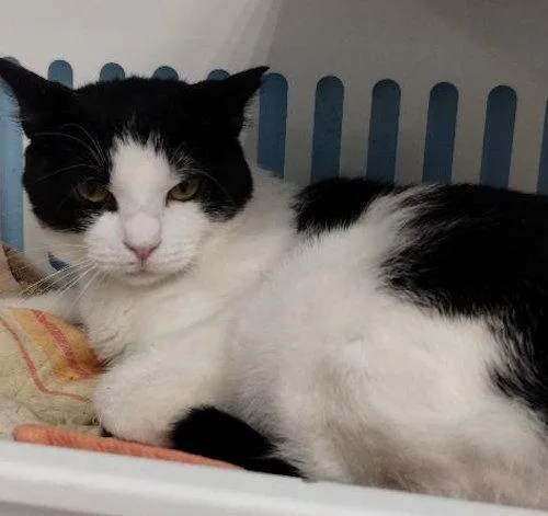 Simone  Center thumbnail 2