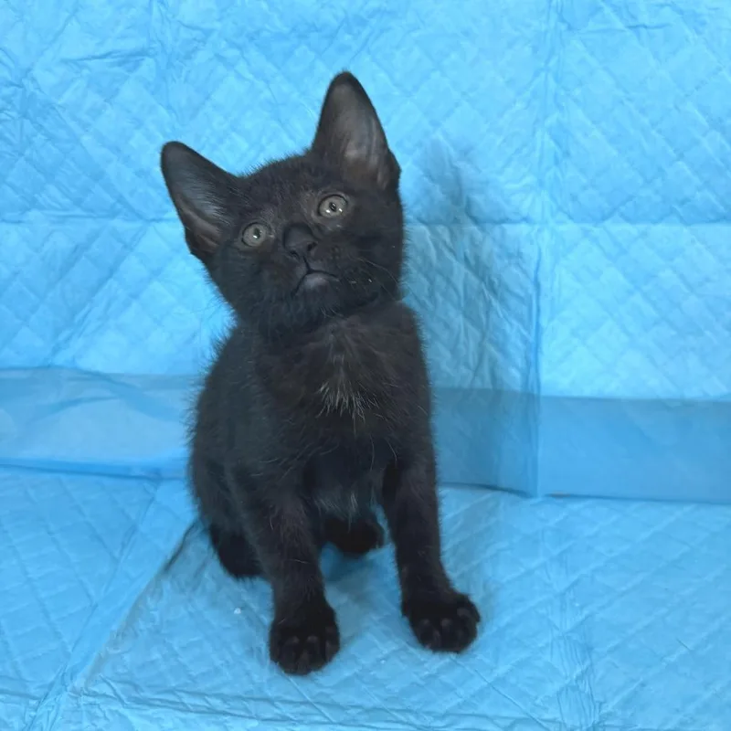 Brighton thumbnail 2