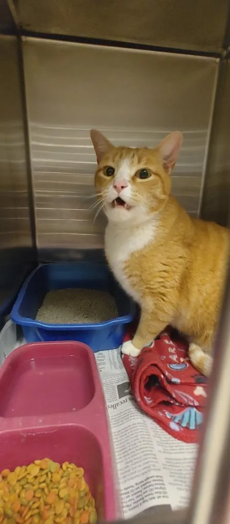 DamarioGil thumbnail 2