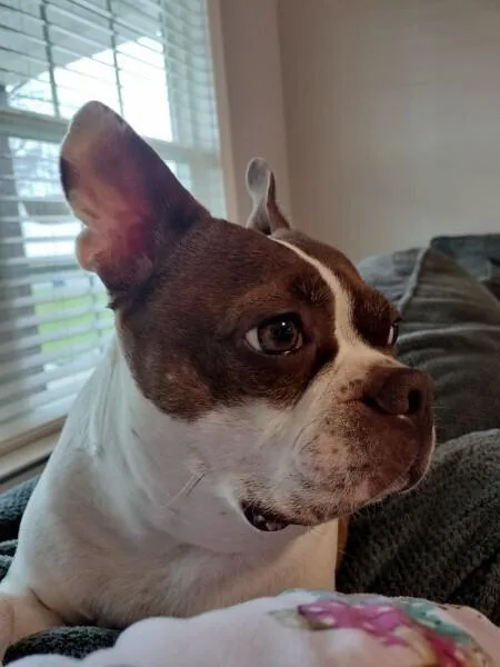 Millie Brown Sparta  thumbnail 4