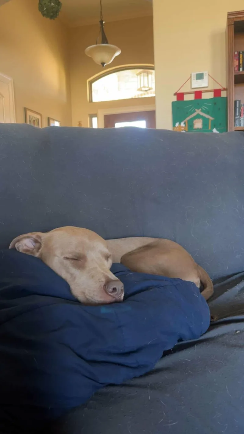 Peanut thumbnail 2