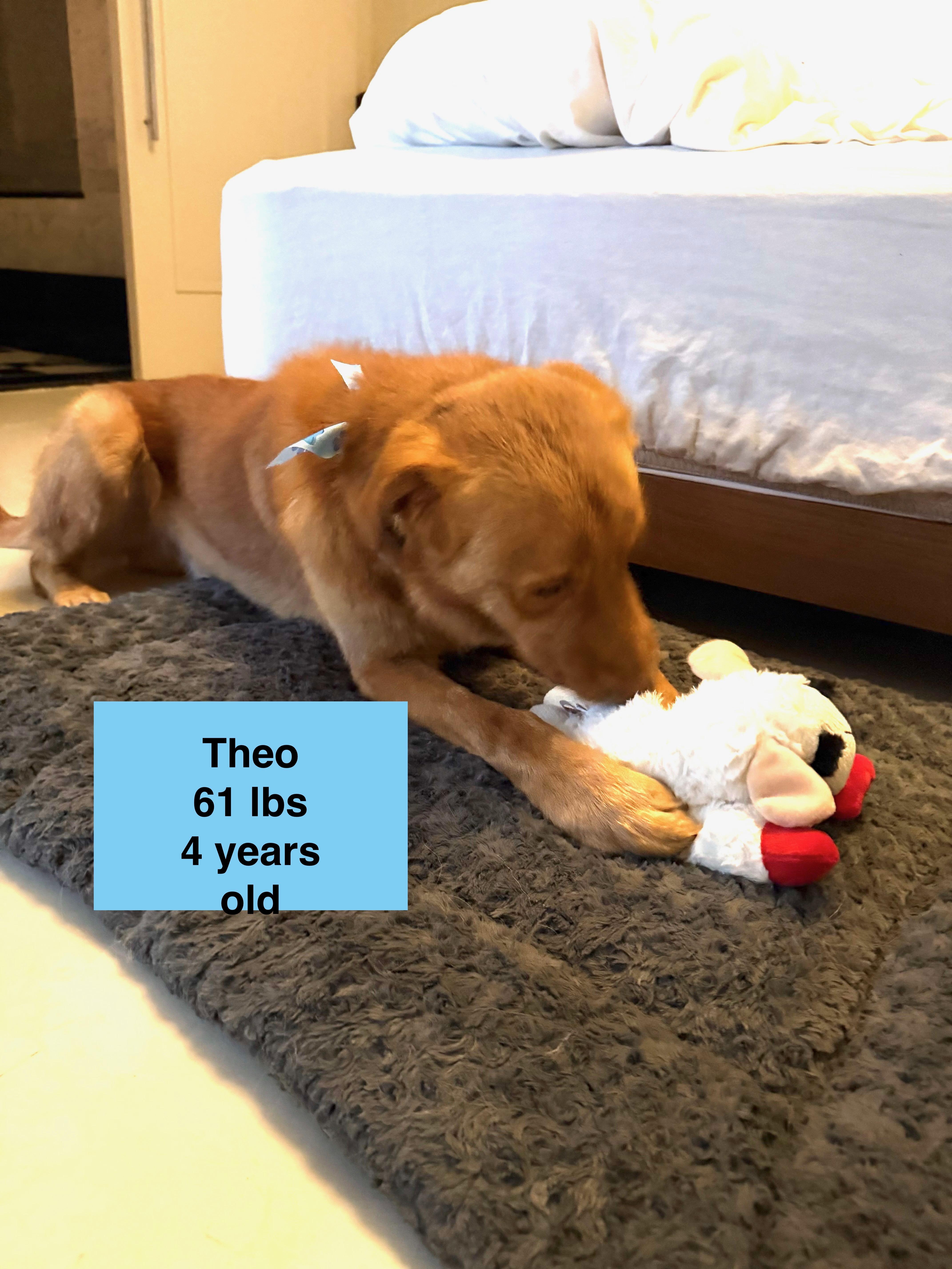 Theo