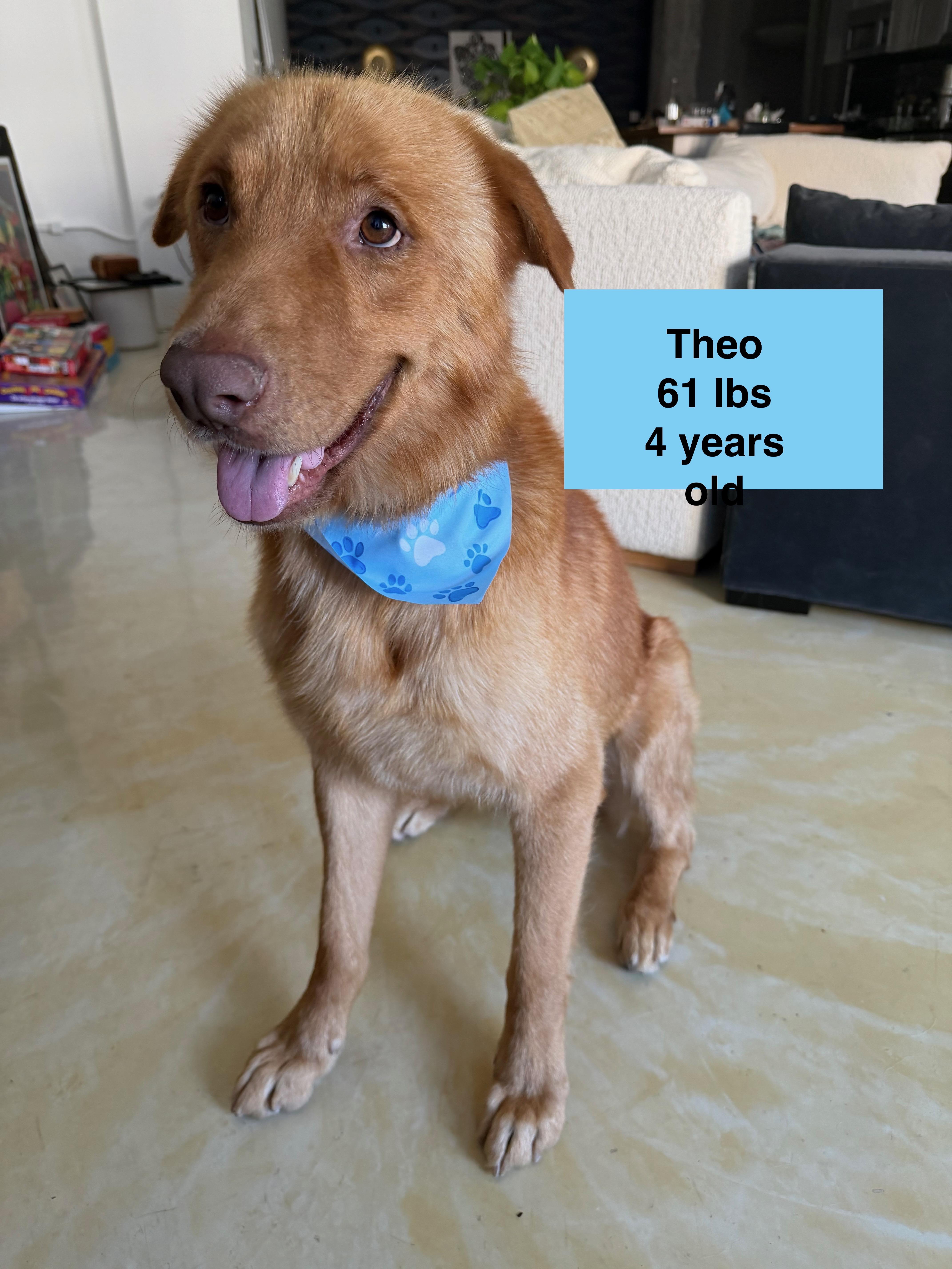Theo thumbnail 3