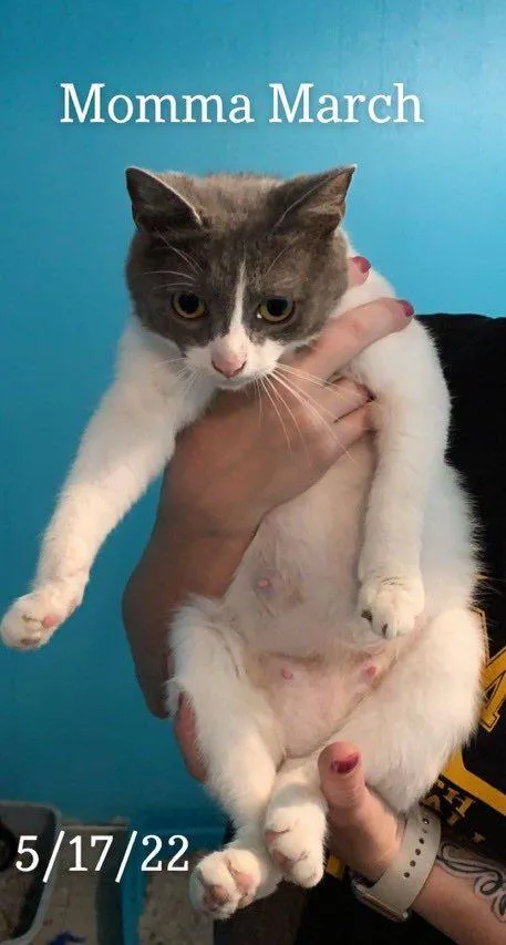 Momma March thumbnail 6