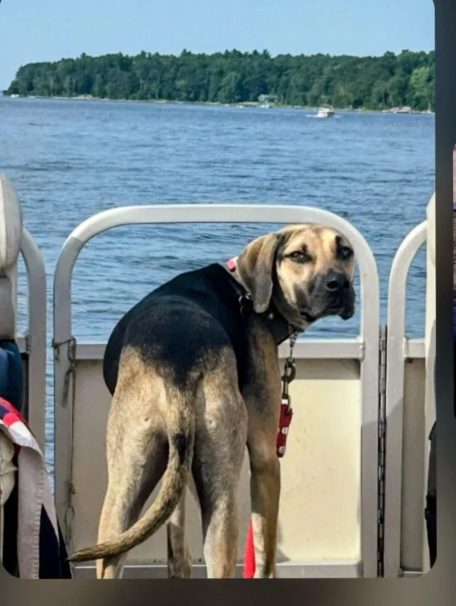 Chip The Most Incredible thumbnail 2